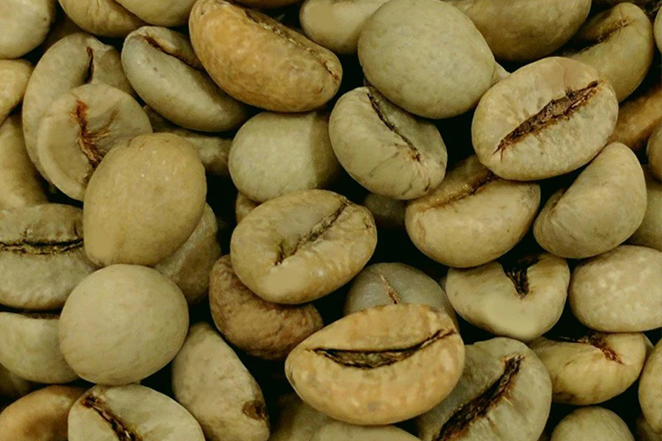 Robusta Green Coffee