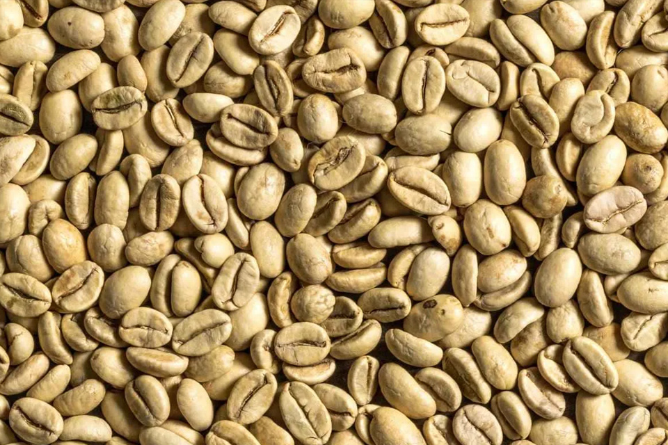 Arabica Green Coffee