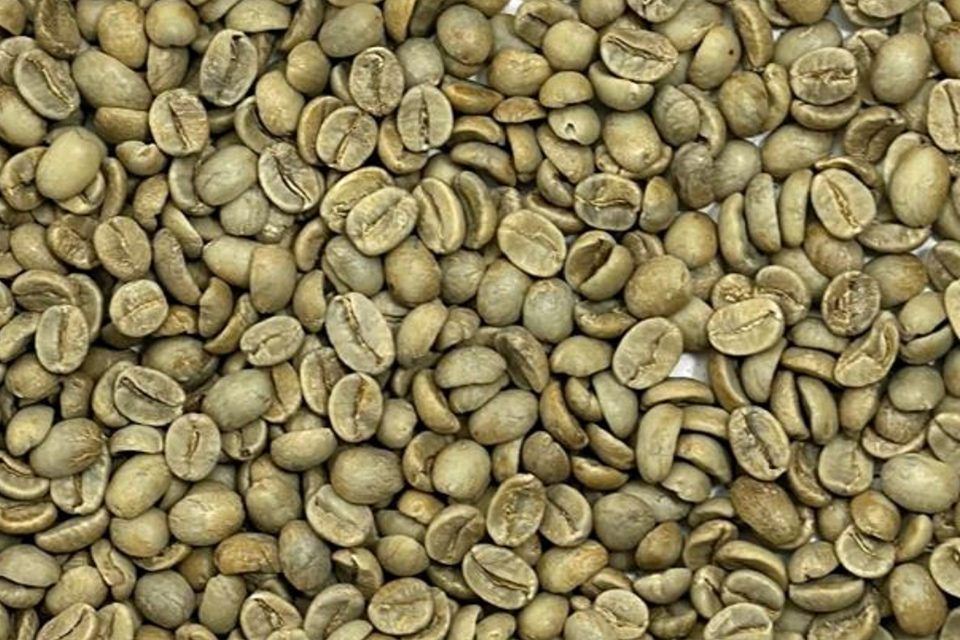 Robusta Green Coffee