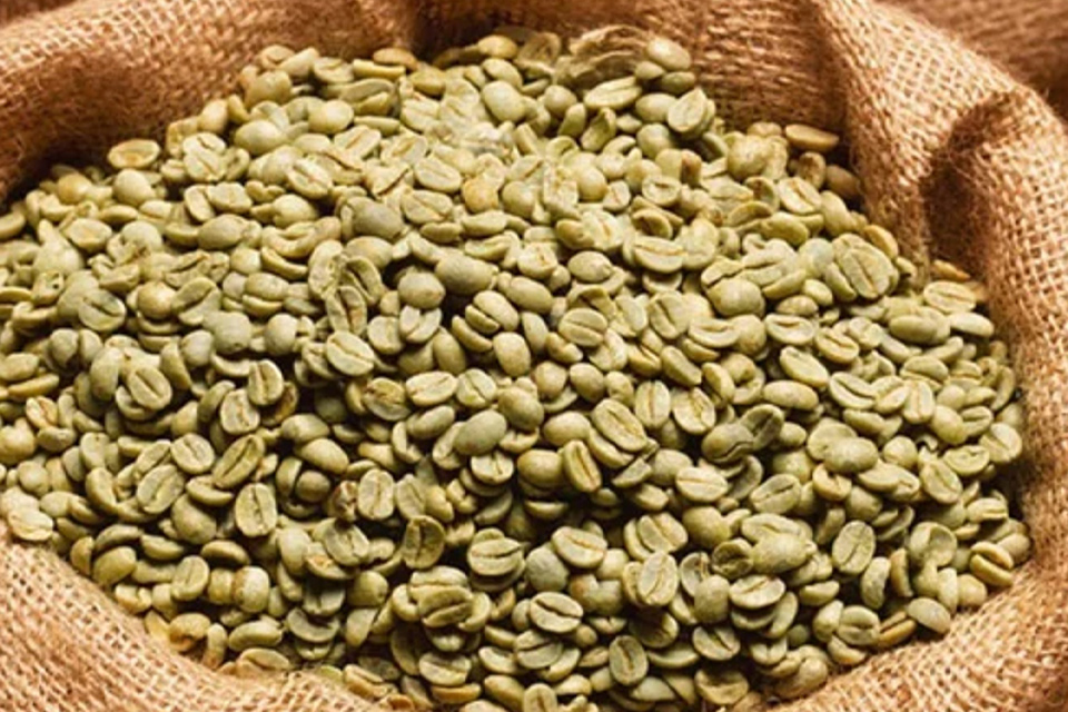 Robusta Green Coffee Beans