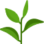 Sustainable Estates